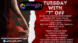 Tuesday Stallioniptv.com.png