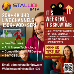 Exciting Promotions for Stallion IPTV.png