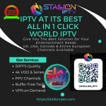 1780244565000_Main_Stallioniptv.com.png 1780244565000_Main_Stallioniptv.com.png