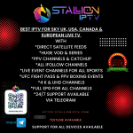 stallioniptv1.png