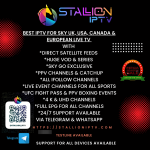 Stallioniptv.com1 2.png